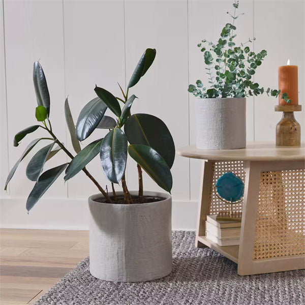 Wooden Cane Rattan Coffee Table - NaturWeave